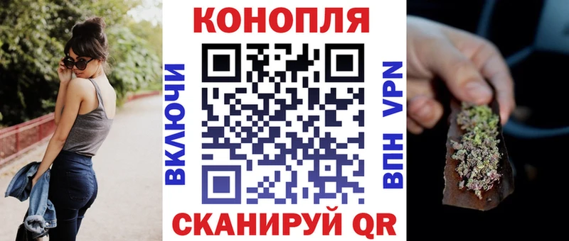 Шишки марихуана планчик  наркотики  Куртамыш 
